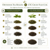 Why Orthodox Tea Tastes Smoother Than CTC — Even Though CTC Extracts More