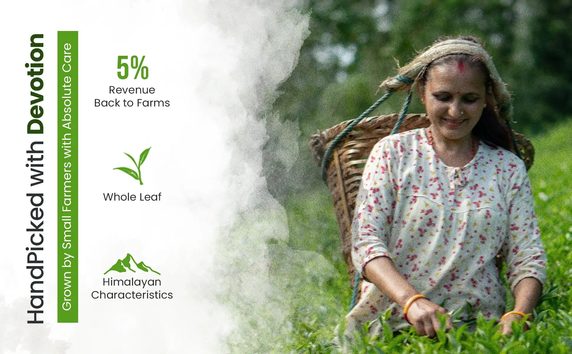 Nepal Hills Tea Inc.