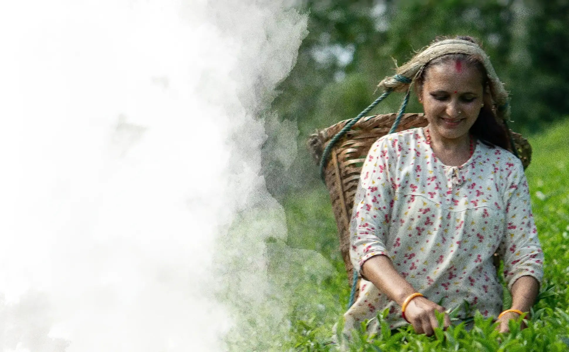Nepal Tea- Nepal Hills Tea