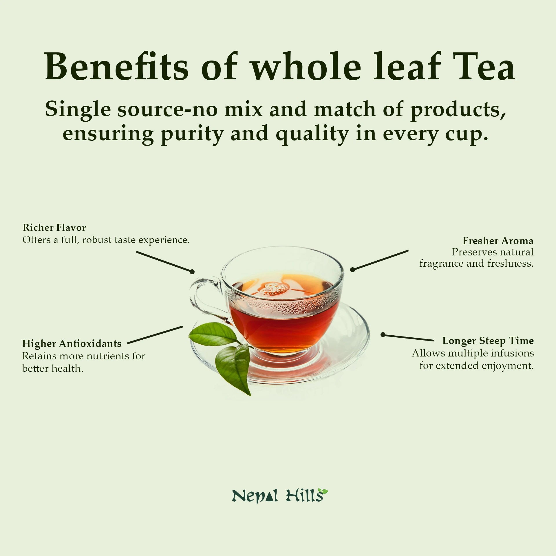 Infographics with benefits of whole leaf tea