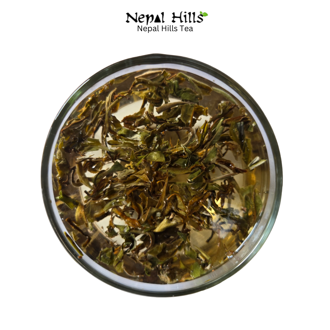 Brew from Himalayan White Tea from Nepal