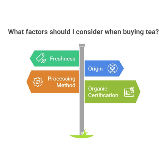 Which Tea Should You Buy? A Simple Guide to Choosing the Right Tea