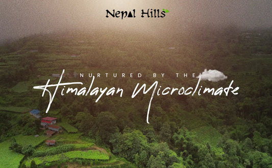 Why is Nepal Tea Different Than Darjeeling?