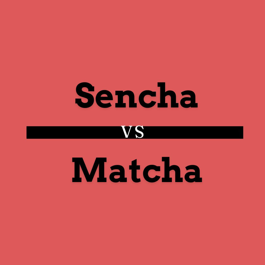 A Creative Design with clear image, showing text Sencha Vs Matcha