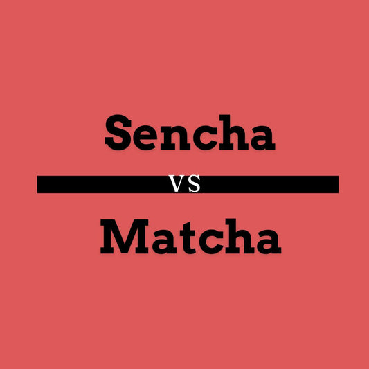 A Creative Design with clear image, showing text Sencha Vs Matcha