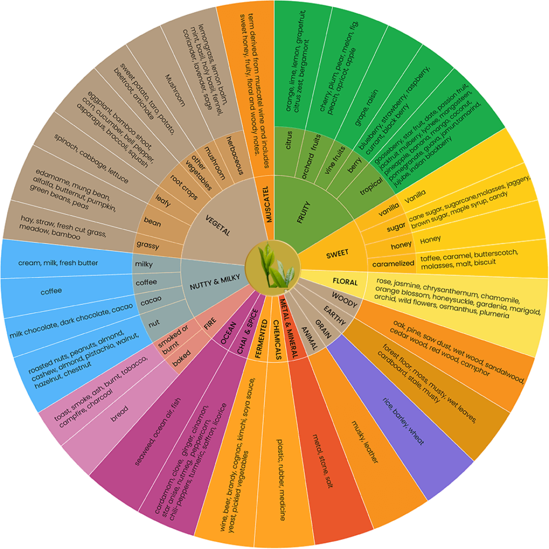 Tea Flavor Wheel 