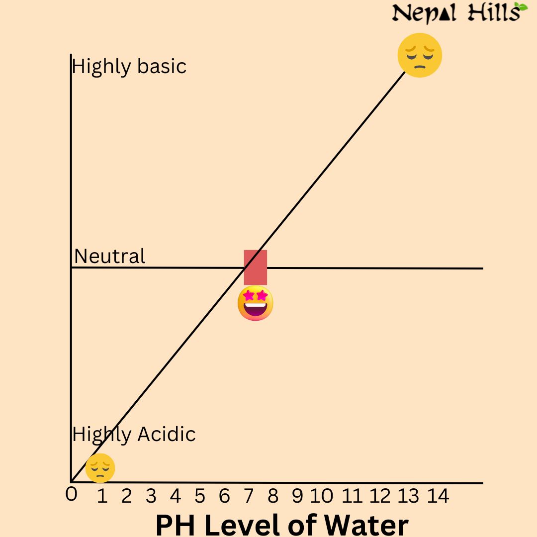 Water PH and Taste of Tea