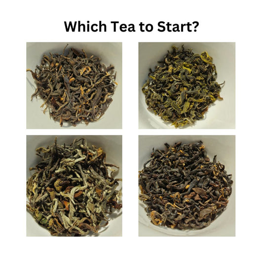 Which tea to start drinking first time