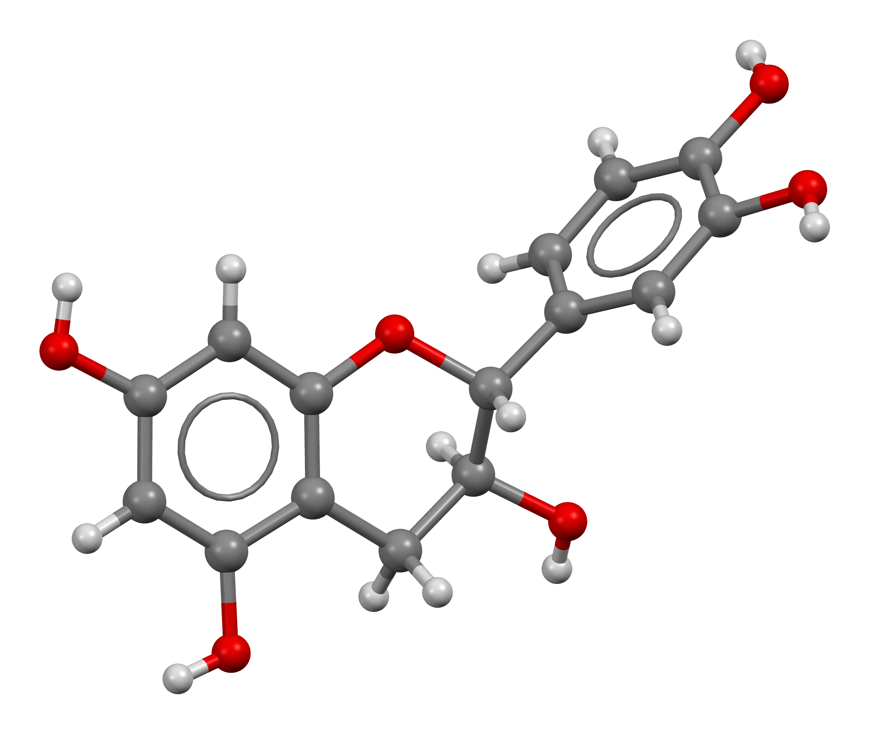 Adding Milk to Tea - Catechins and Casein