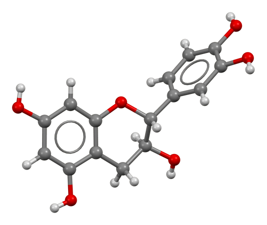 Adding Milk to Tea - Catechins and Casein