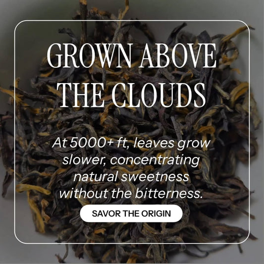 Does High-Altitude Tea Have More Theanine? What One 2025 Field Trial Found, and What We Won't Claim