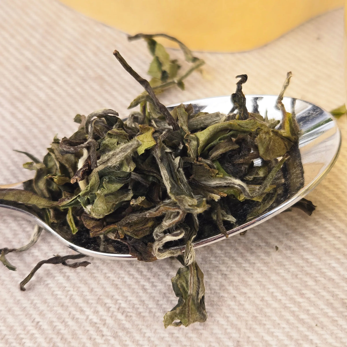 Fresh White Tea dry leaves — Delicate Nepal White Tea from Farmers Tea Co., Ilam | Nepal Hills Tea — 4