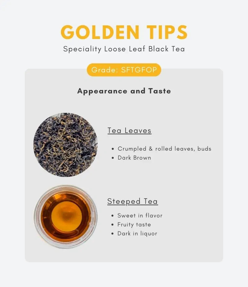 golden-tips-tea-information-Nepal-Hills-Tea