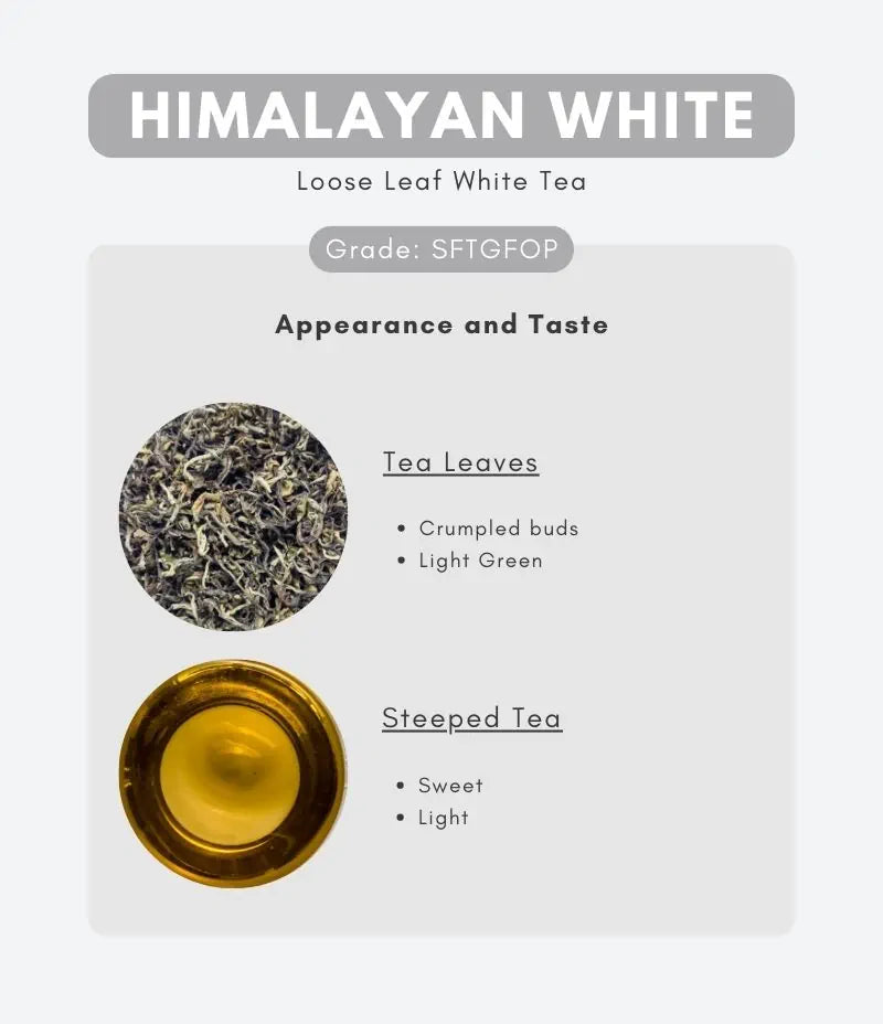 himalayan-white-loose-leaf-tea-information-Nepal-Hills-Tea