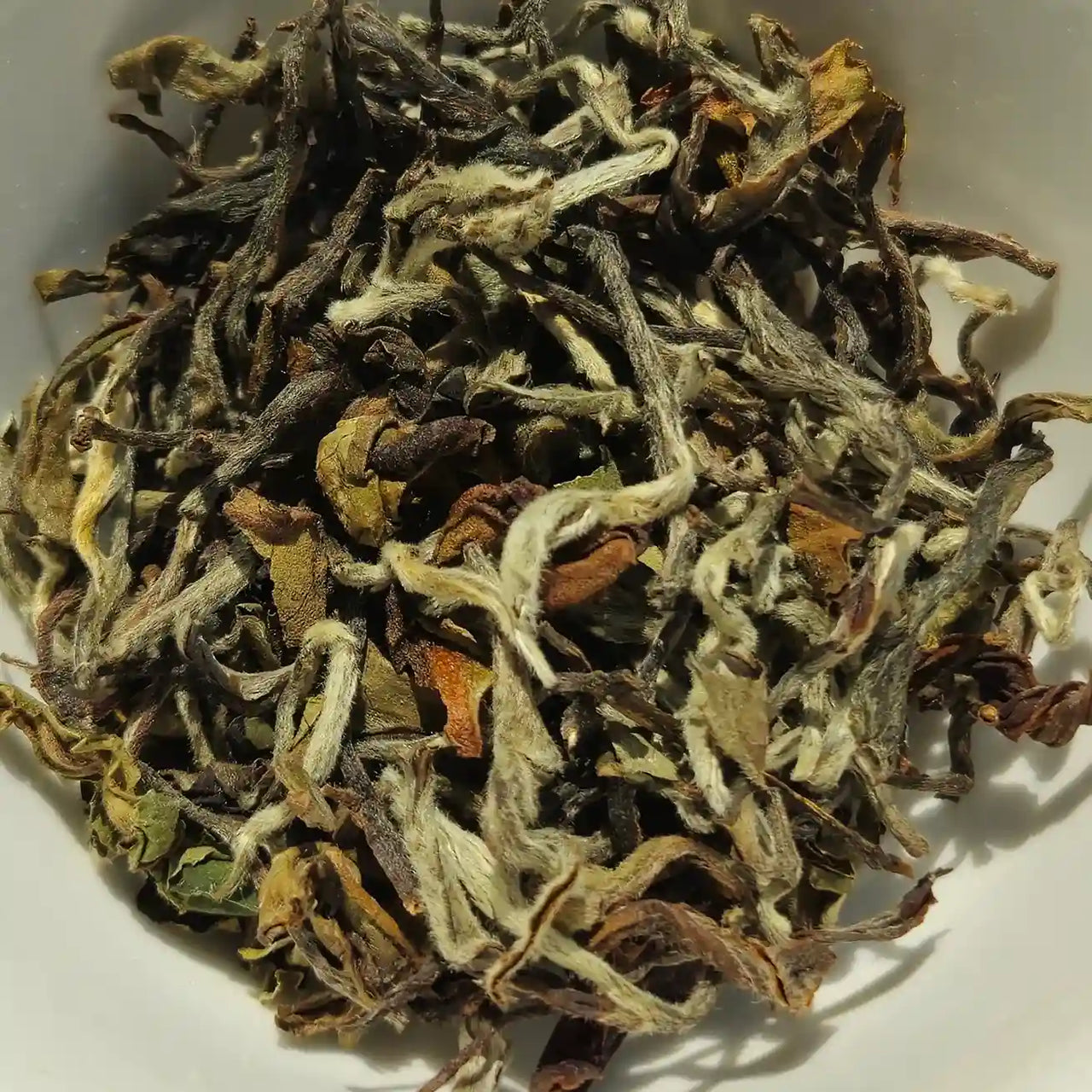 Pure White Tea From Nepal
