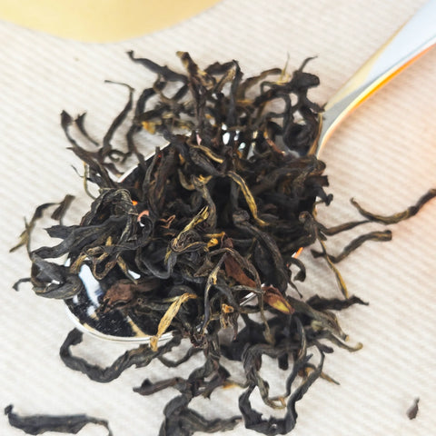 Close-up of dried black tea leaves on a white cloth