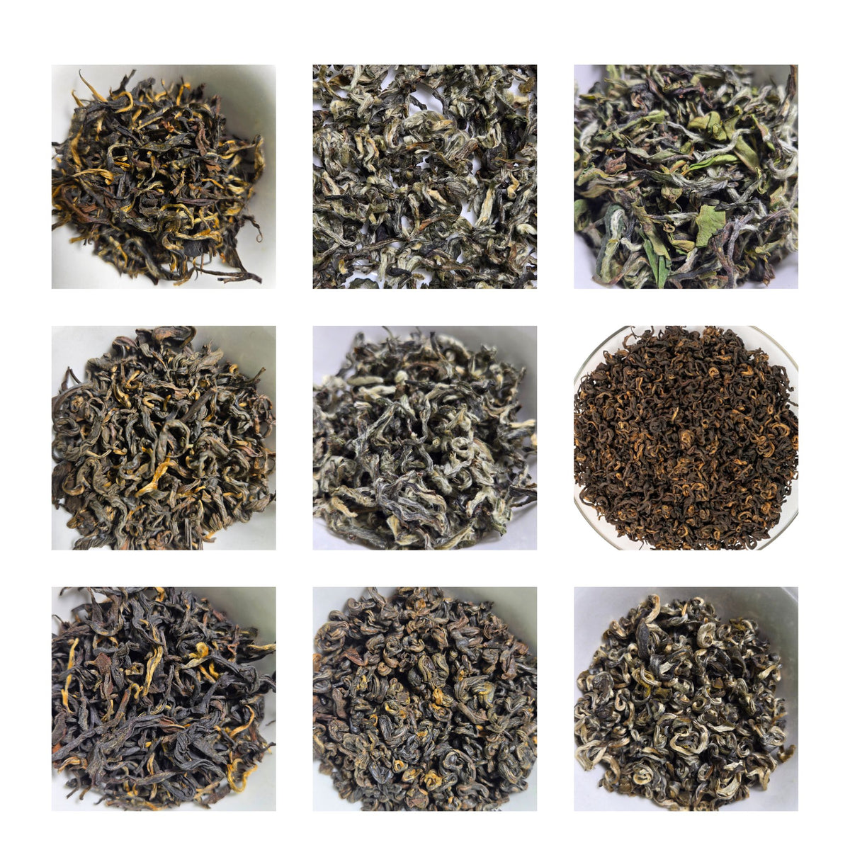 Nepal Hills Tea Sampler Kit